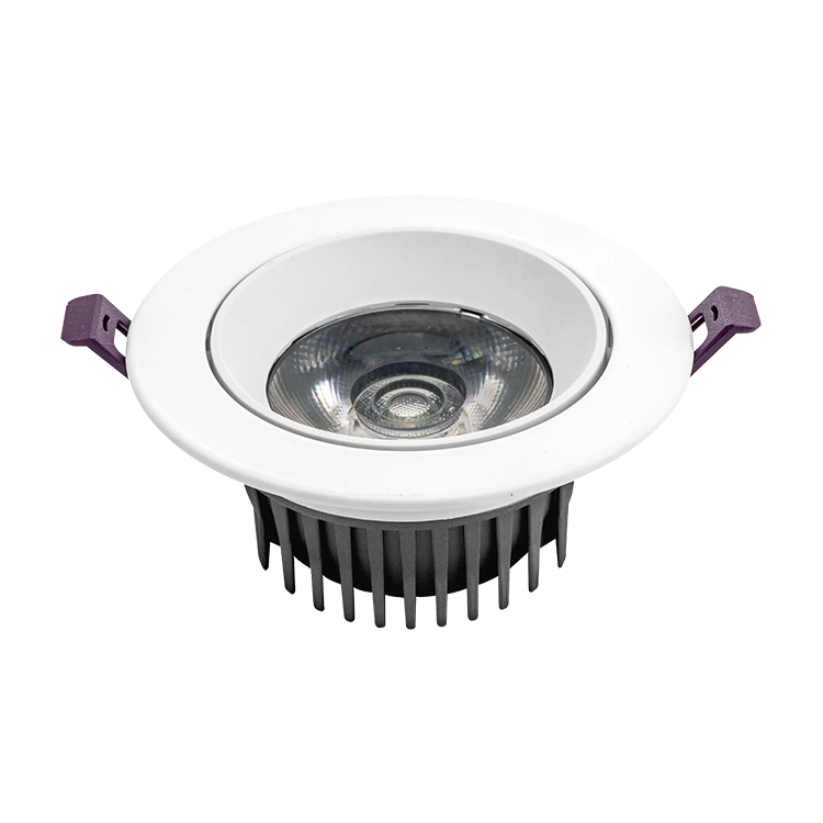 Großes Objektiv Downlight